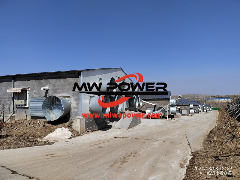 600kw Weichai generator.jpg