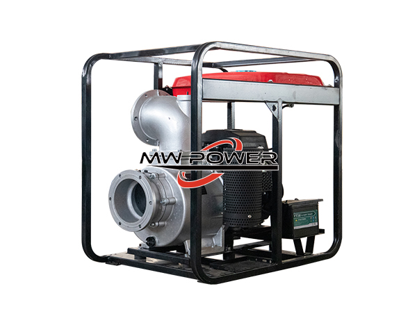 Gasoline double cylinder water pump